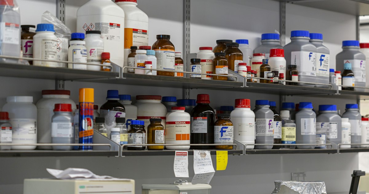 Mythes sur l'atorvastatine